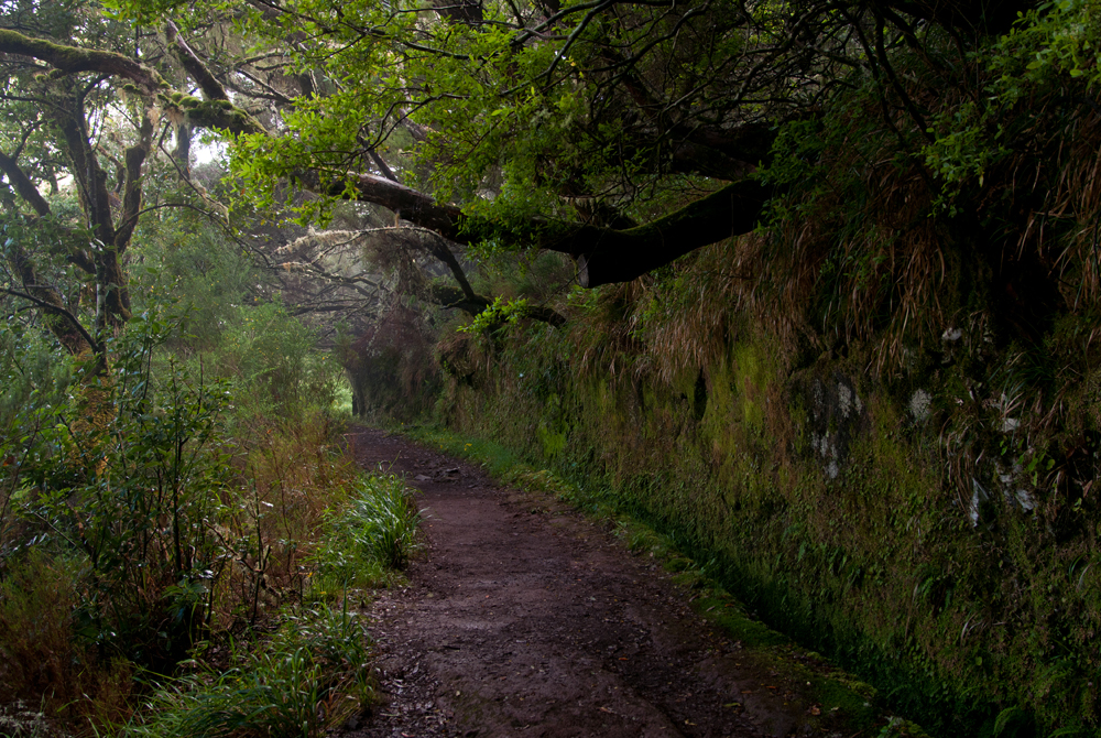 417_Madera_Levada das 25 Fontes.jpg